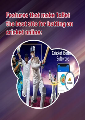 Best online cricket betting sites